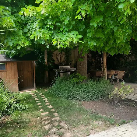 Le Clos Du Coteau Bed & Breakfast Saint-Martin-la-Pallu